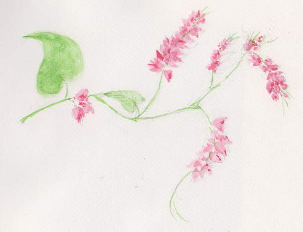 Watercolor_2 001.jpg