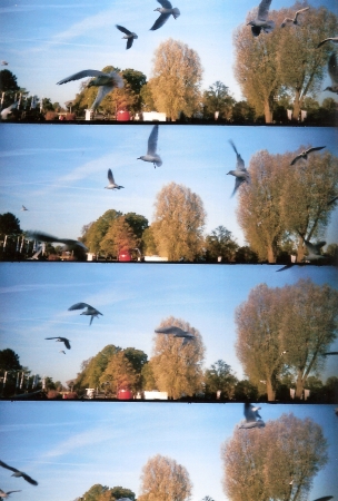 L002.jpg