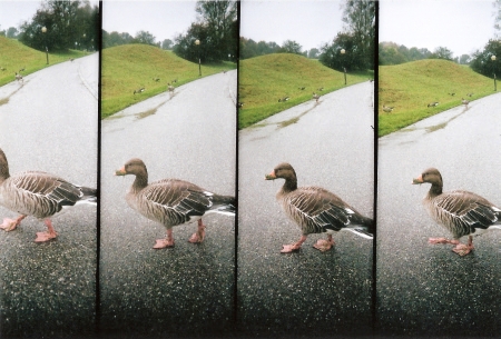 L004.jpg