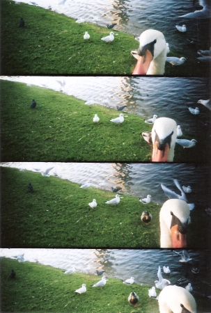 L005.jpg