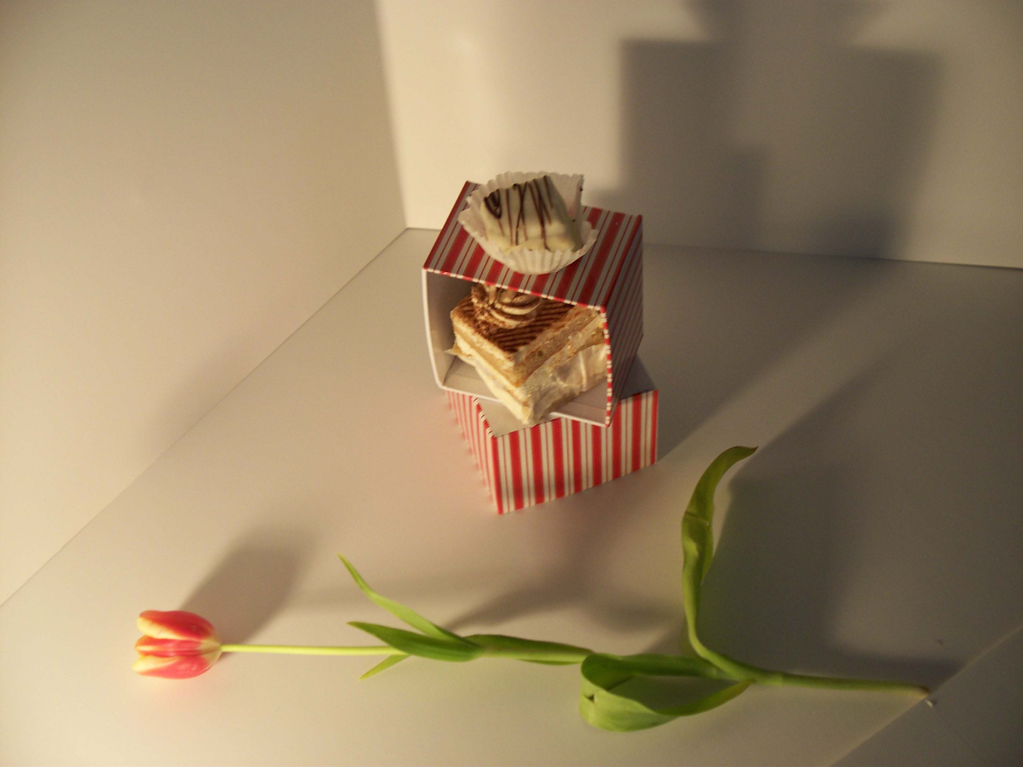 100_0003.jpg