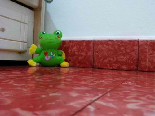 frog.jpg