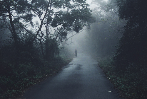 tumblr_llp47eT78m1qkxrmvo1_500.jpg