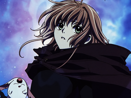 csakura.png