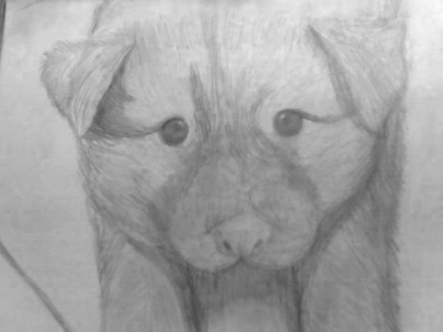 Snapshot_20110611.jpg