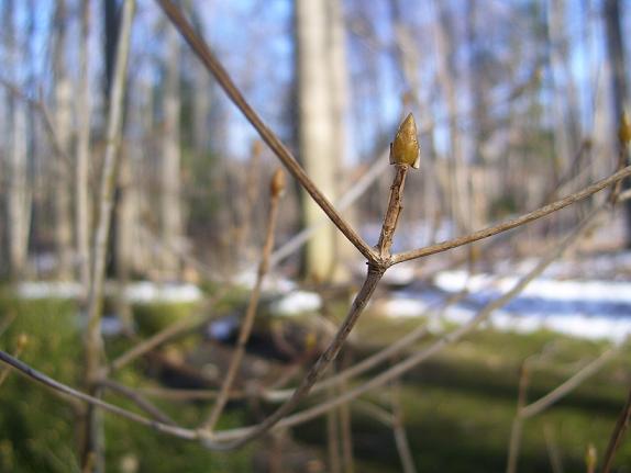 109_2713.JPG