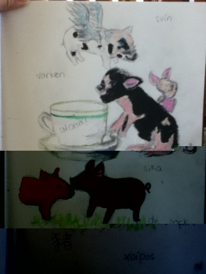 pig 2.JPG