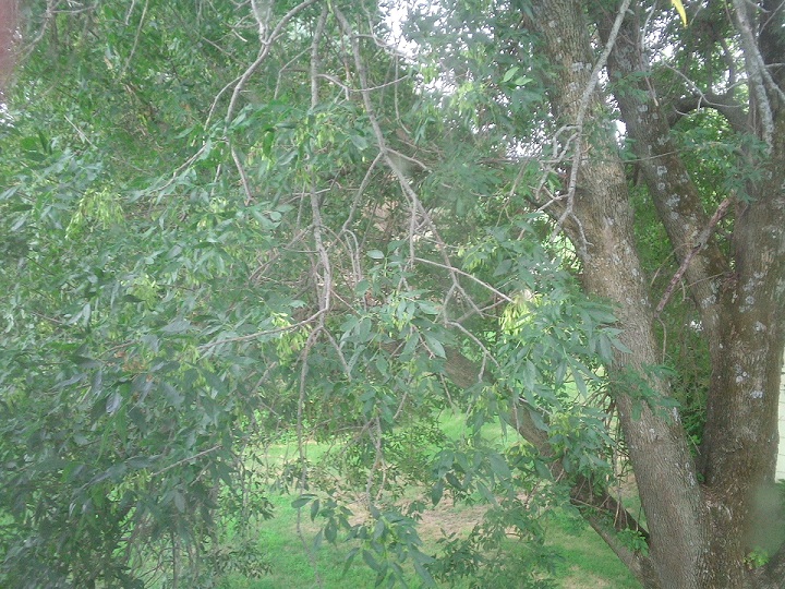 001.JPG