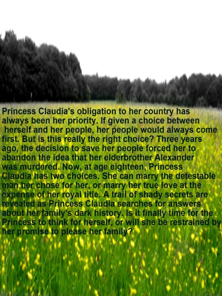 Back cover resized.jpg