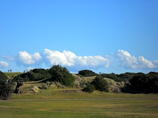landscape.jpg