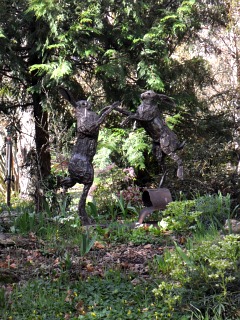 hares.jpg