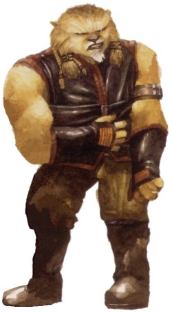 cathar.jpg