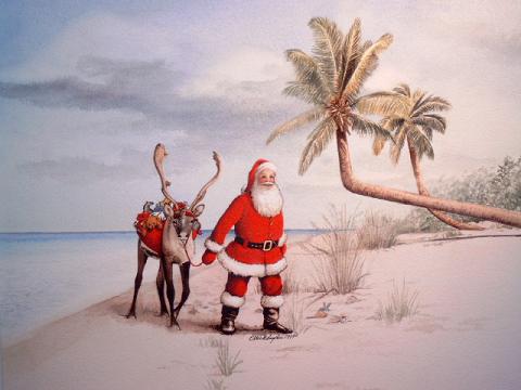 Snyder, Santa beach, close.JPG