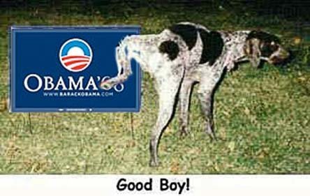 Anti-Obama.jpg