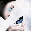 free_a_butterfly_avatar_picture_55335.jpg