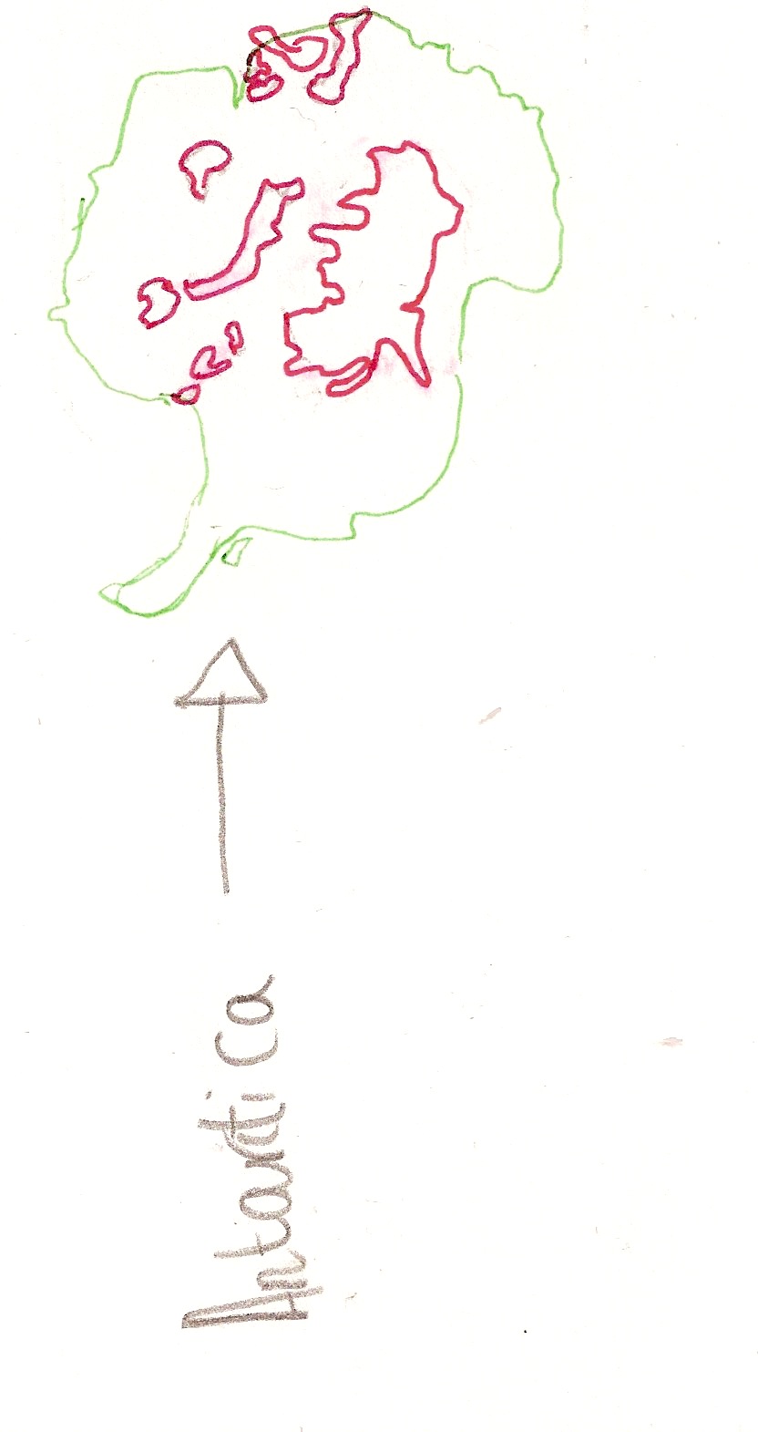 Scan 4.jpeg