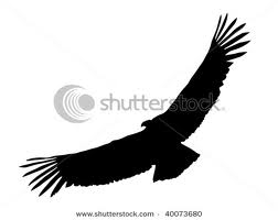 condor silliuete.jpg
