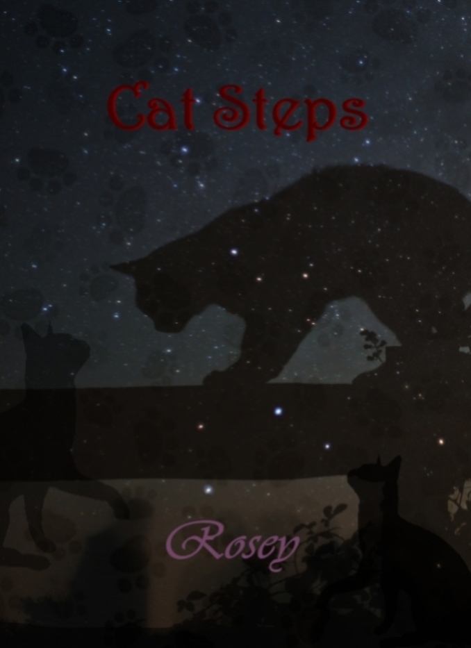 Untitled_catstepstitled2_2.jpg