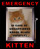 emergency_kitten_jpg_1286409834.jpg