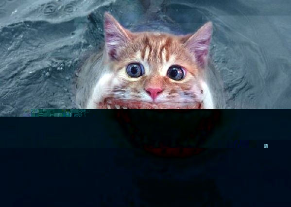 scary-catfish-4552-1249362814-0.jpg