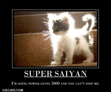 goten kitteh.jpg