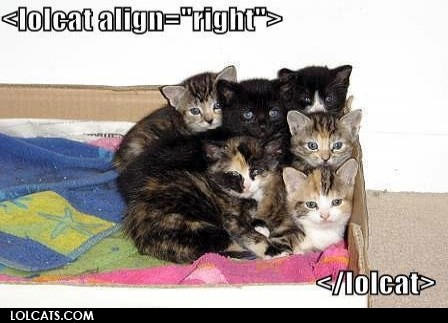 align right.jpg