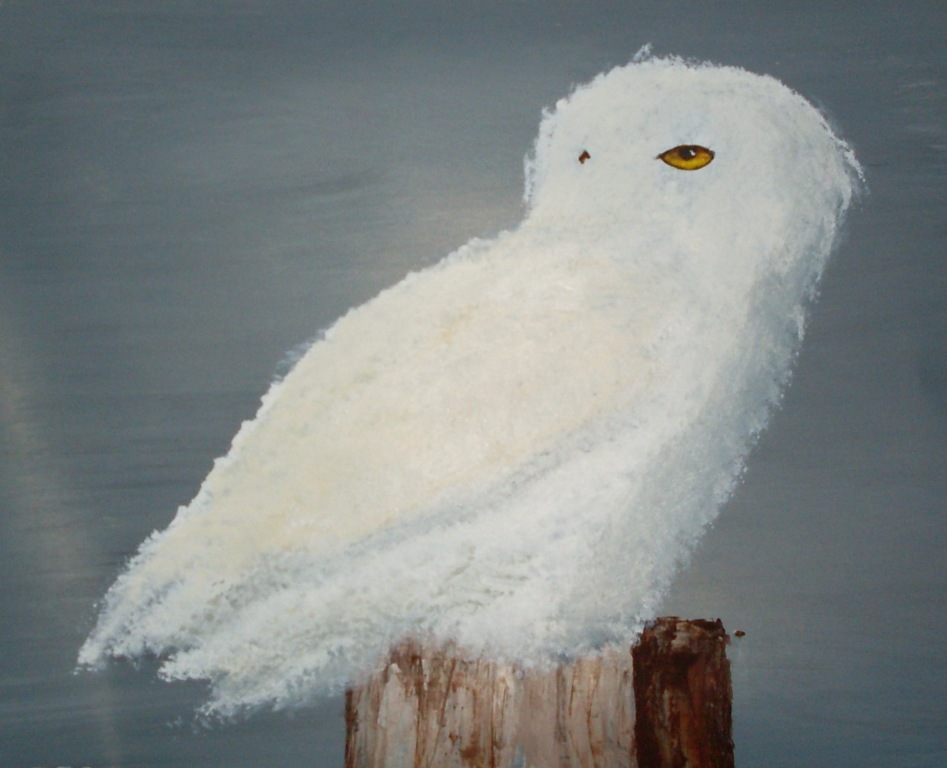 snowyowl.JPG
