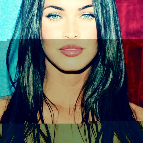 Megan-Fox-megan-fox-20098713-500-500.jpg