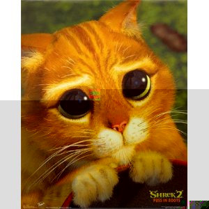 Puss.jpg