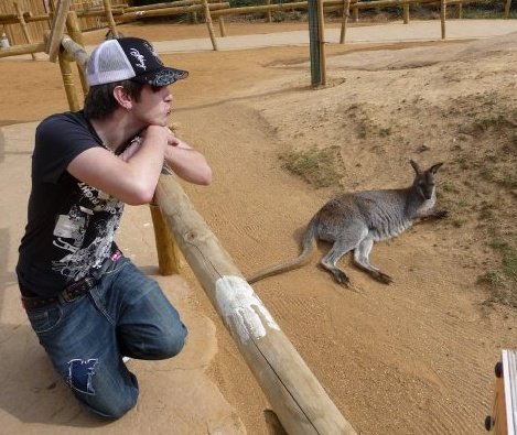 wallaby.jpg
