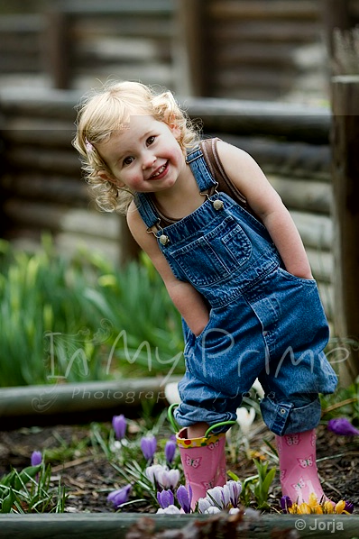 0804020441121farmer_bobfw.jpg