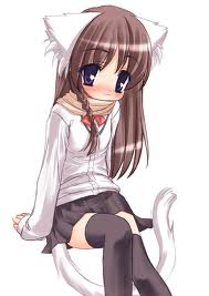 imagesCAJ591C0.jpg