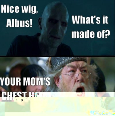 your-moms-chest-hair_cb7ec245824210070b8a060aa89624a1.jpg