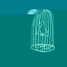 Birdy.jpg