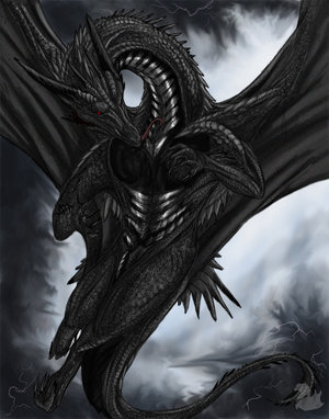 black20dragon20with20red20eye.jpg