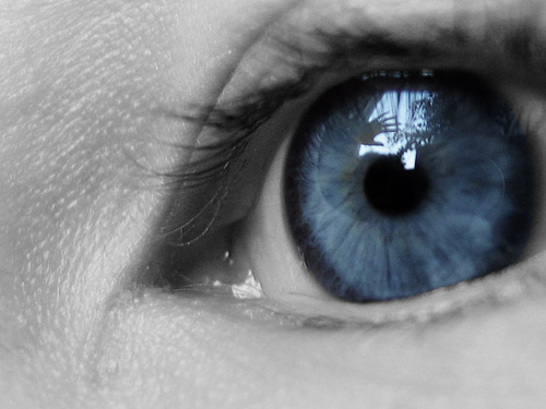 eye.jpg