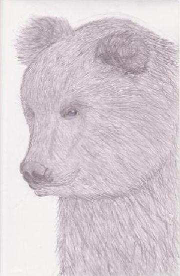 The Bear.jpg