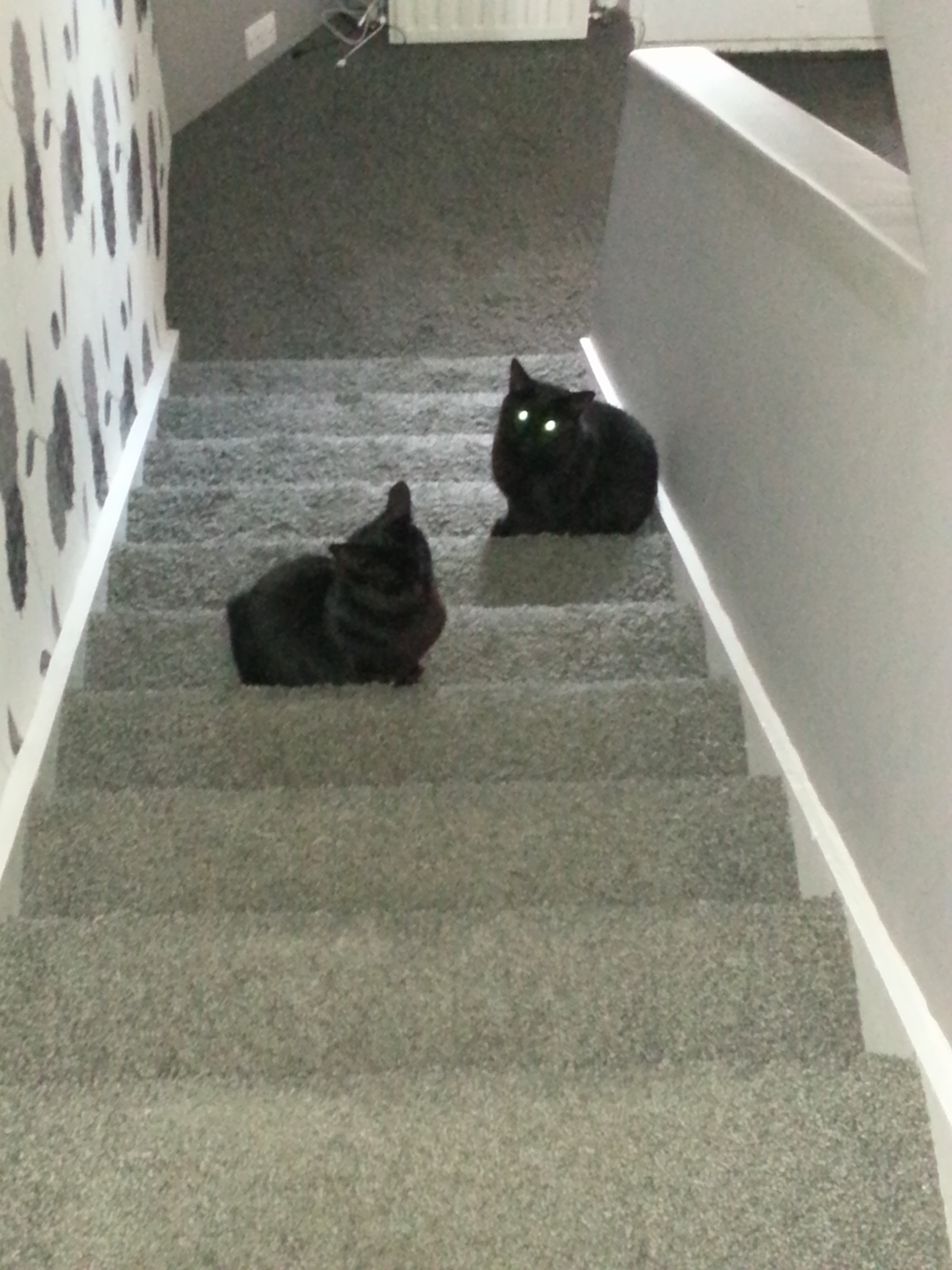 20130611_195030.jpg