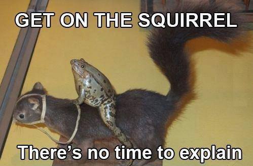Get on the Squirrel .jpg