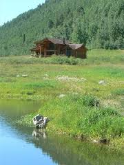 Avelyns new home.jpeg