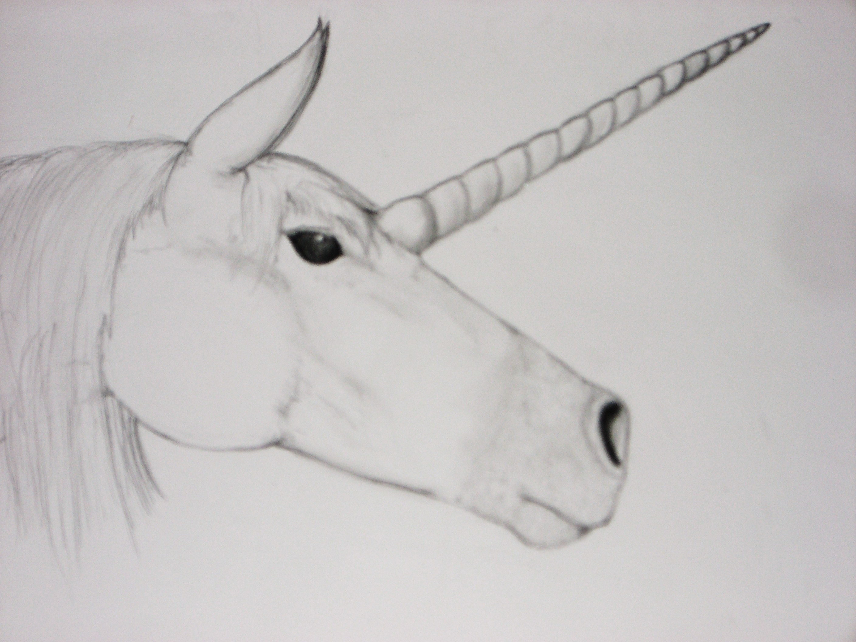 Unicorn.JPG