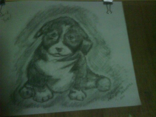 Charcoal Dog.jpg