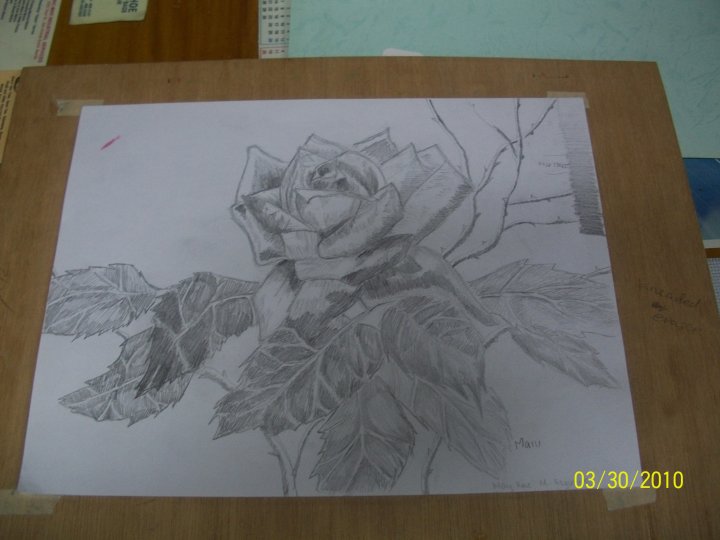 Flower Drawing.jpg