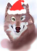 Wolfie36 avatar.jpg