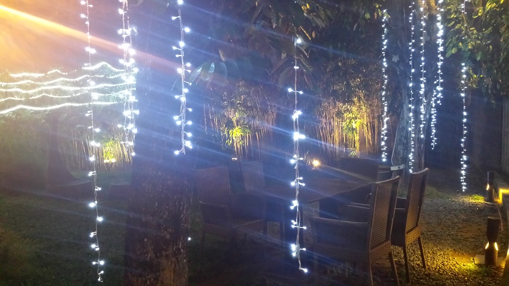 Lights.jpg