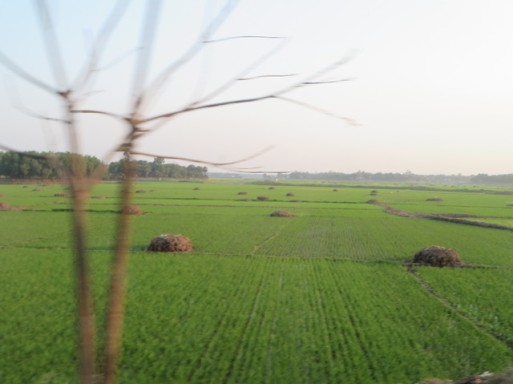 gr.jpg
