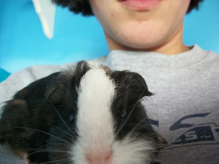 pepper3.jpg