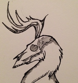 doe deer.jpg