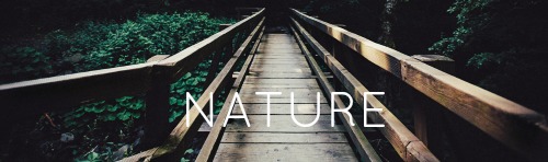 nature1.jpg