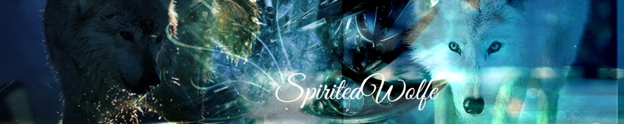 banner 2.jpg
